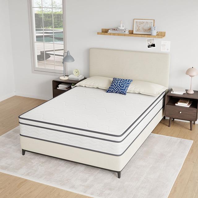 Catmint 10" Full Innerspring Mattress
