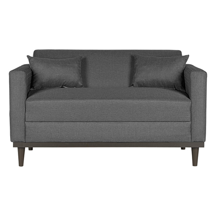 AIDEN LOVESEAT W/2 THROW PILLOWS-SILVER GRAY